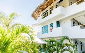 El Sho - Hotel Organico